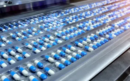 Bilberry Anthocyanins Bilberry Anthocyanins