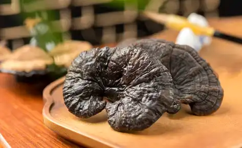 Ganoderma Lucidum Extract Powder