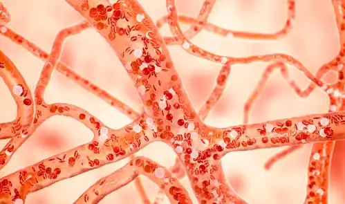 Ganoderma Lucidum Extract Powder Ganoderma Lucidum Extract Powder