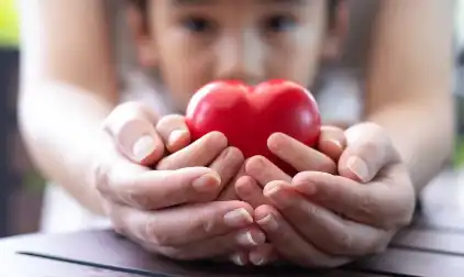 Ganoderma Lucidum Extract Powder Ganoderma Lucidum Extract Powder