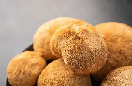 Hericium Erinaceus Extract Powder Hericium Erinaceus Extract Powder