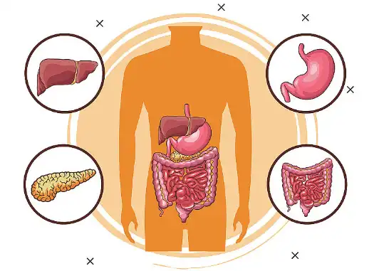 Hericium Erinaceus Extract Powder Hericium Erinaceus Extract Powder