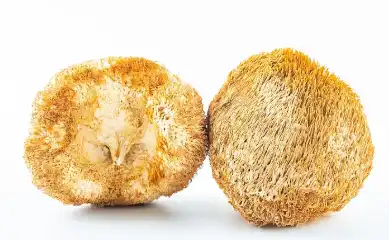 Hericium Erinaceus Powder