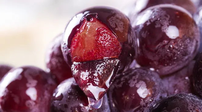 Grape Skin Extract Resveratrol Grape Skin Extract Resveratrol