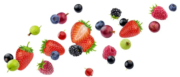 Grape Skin Extract Resveratrol Grape Skin Extract Resveratrol