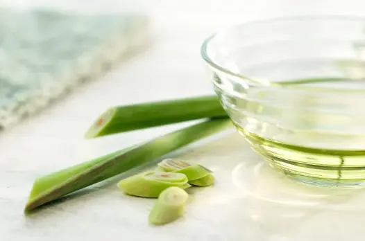 Lemon Grass Extract Oil