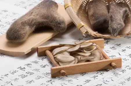 Deer Antler Extract Powder