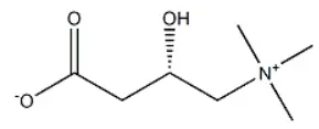 L-carnitine Powder Bulk