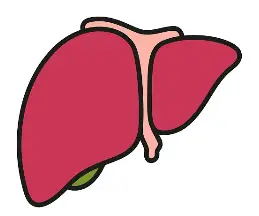 Raspberry Ketone Bulk Raspberry Ketone Bulk