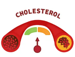 Raspberry Ketone Bulk Raspberry Ketone Bulk