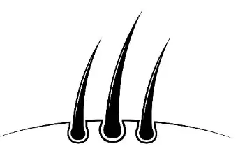 Raspberry Ketone Bulk Raspberry Ketone Bulk