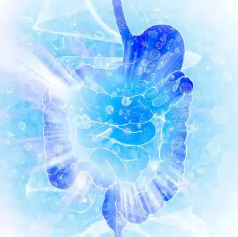 Modified Citrus Pectin Powder Bulk Modified Citrus Pectin Powder Bulk