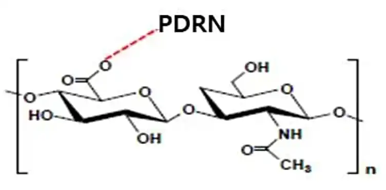 PDRN Powder PDRN Powder