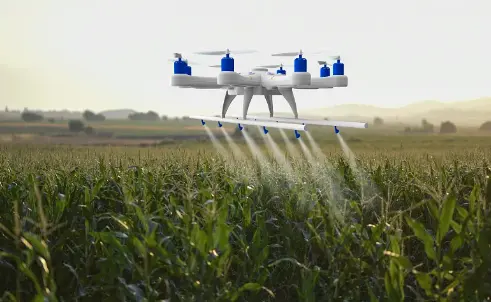 Yucca Saponins Yucca Saponins