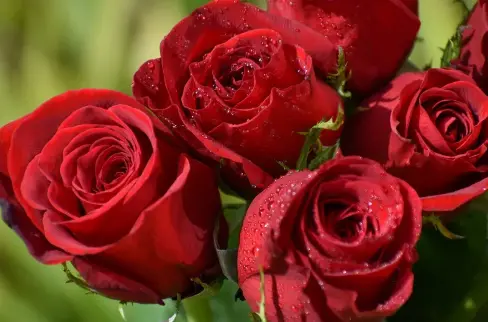 product-488-322 product-488-322