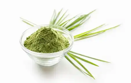 Bulk Barley Grass Powder Bulk Barley Grass Powder