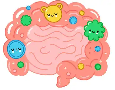 Bulk Barley Grass Powder Bulk Barley Grass Powder