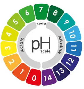 Bulk Organic Wheatgrass Powder Bulk Organic Wheatgrass Powder