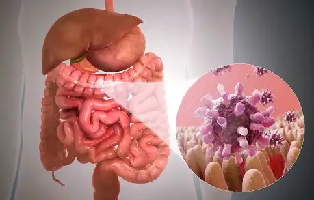 Bulk Organic Wheatgrass Powder Bulk Organic Wheatgrass Powder