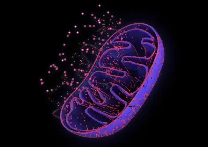 Urolithin A Powder Urolithin A Powder