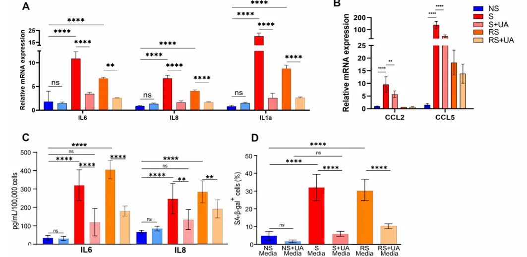 Urolithin A Powder Urolithin A Powder