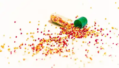 Bulk Micro Crystal Cellulose Powder Bulk Micro Crystal Cellulose Powder