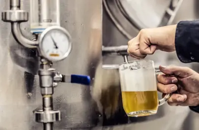 Hop Flower Extract Hop Flower Extract