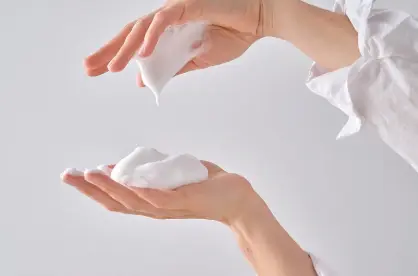 Sponge Spicule Sponge Spicule