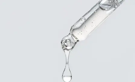 Sponge Spicule Sponge Spicule