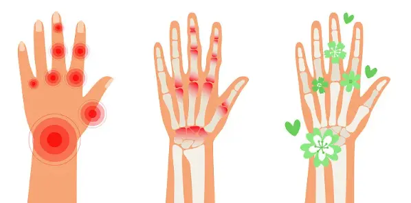 Chondroitin Sulfate Bulk Chondroitin Sulfate Bulk