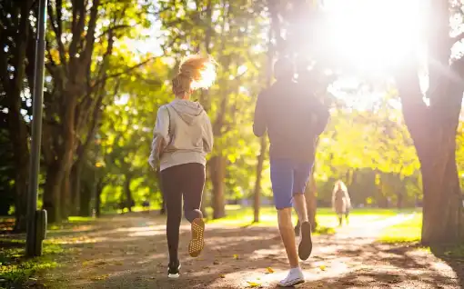 Pure Maca Extract Pure Maca Extract