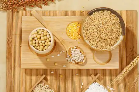 Hydrolyzed Vegetable Protein Powder