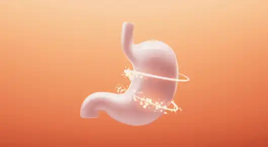 Hydrolyzed Vegetable Protein Powder Hydrolyzed Vegetable Protein Powder