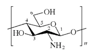 chitosan powder