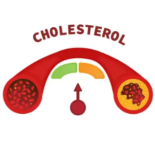 chitosan powder chitosan powder