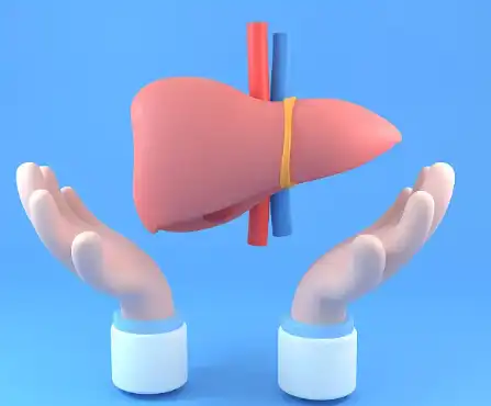 Milk Thistle Extract Powder Milk Thistle Extract Powder