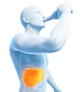 Silybin Powder