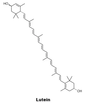 Bulk Beta Carotene Bulk Beta Carotene
