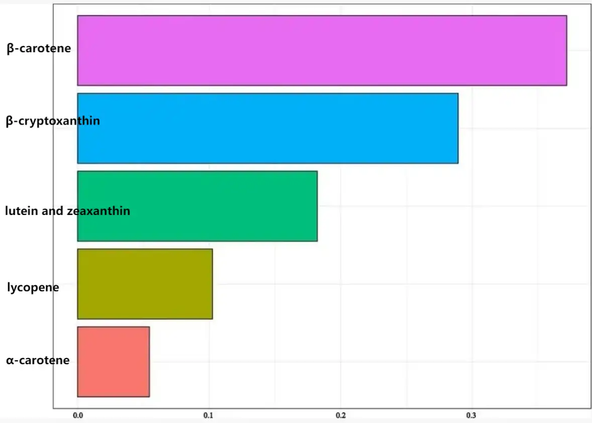 Bulk Beta Carotene Bulk Beta Carotene