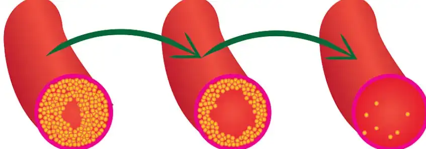 Citrus Extract Powder Citrus Extract Powder