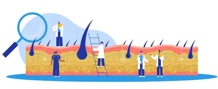 Bulk Bamboo Leaf Extract  Bulk Bamboo Leaf Extract