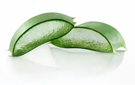 Bulk Aloe Vera Powder