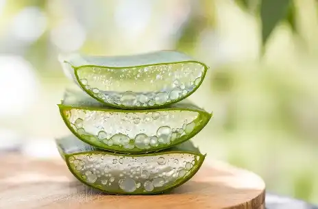 Bulk Aloe Vera Powder