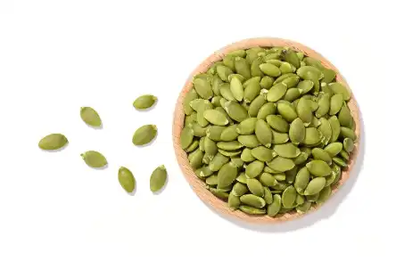Organic Pumpkin Seed Protein Organic Pumpkin Seed Protein