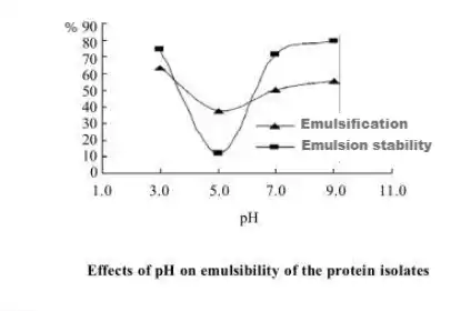 Organic Pumpkin Seed Protein Organic Pumpkin Seed Protein