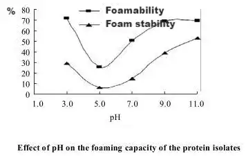 Organic Pumpkin Seed Protein Organic Pumpkin Seed Protein