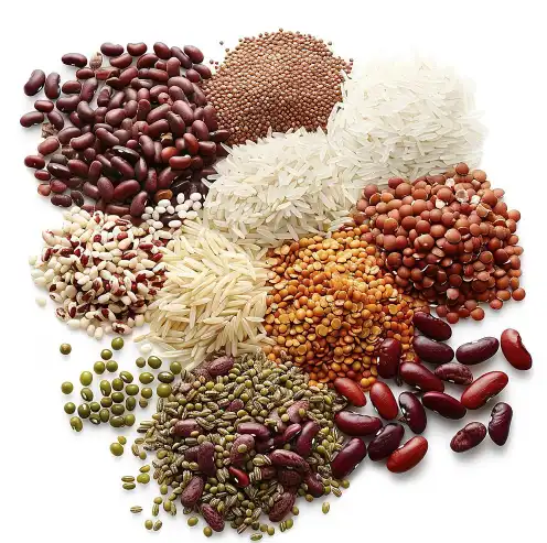 Organic Pumpkin Seed Protein