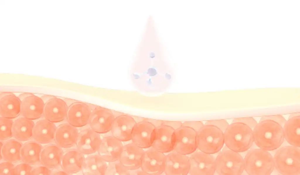 Bulk Centella Asiatica Extract Bulk Centella Asiatica Extract