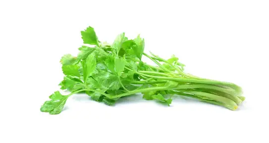 Bulk Apigenin