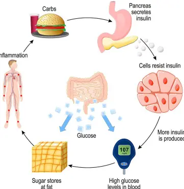 Bulk Apigenin Bulk Apigenin